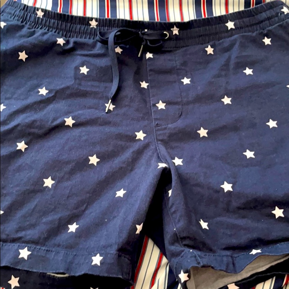 Pac Sun Men’s Shorts Size Large